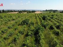 Prodej komerčního pozemku, Brno, 2465 m2