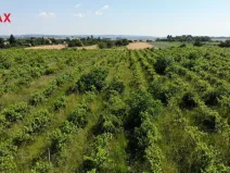 Prodej komerčního pozemku, Brno, 2465 m2