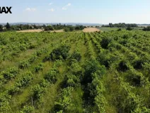 Prodej komerčního pozemku, Brno, 2465 m2