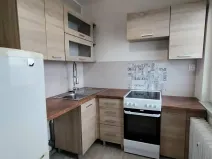 Pronájem bytu 1+1, Ostrava, Řecká, 30 m2