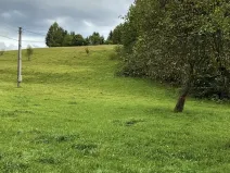 Prodej rodinného domu, Hlavice, 330 m2