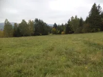 Dražba louky, Vlastiboř, 23043 m2