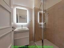 Pronájem bytu 1+1, Praha - Vinohrady, Písecká, 52 m2