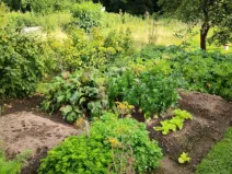 Prodej zahrady, Jihlava - Pístov, 750 m2