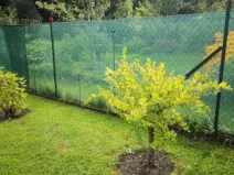 Prodej zahrady, Jihlava - Pístov, 750 m2