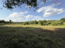 Prodej pozemku pro bydlení, Velemyšleves - Minice, 2241 m2