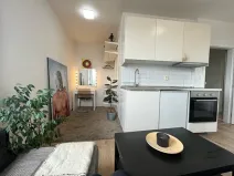 Pronájem bytu 1+kk, Praha, Hornoměcholupská, 26 m2