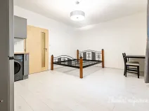 Pronájem bytu 1+kk, Praha - Žižkov, Biskupcova, 27 m2