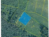 Prodej lesa, Nalžovské Hory, 5640 m2