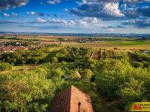 Prodej zahrady, Sivice, 1686 m2