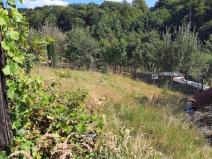 Prodej zahrady, Hlubočky, 682 m2
