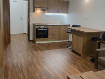 Pronájem bytu 1+kk, Ostrov - Horní Žďár, 28 m2