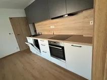 Pronájem vícegeneračního domu, Velká Bystřice, Kollárova, 240 m2
