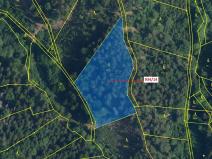 Dražba lesa, Jílové u Držkova, 5751 m2