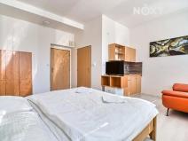 Pronájem bytu 1+kk, Orlová, Těšínská, 22 m2