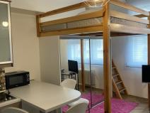 Pronájem bytu 1+kk, Praha - Žižkov, Krásova, 26 m2