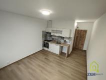 Pronájem bytu 1+kk, Chodov, Čapkova, 20 m2