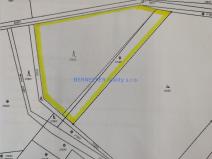 Prodej lesa, Rasošky, 5127 m2