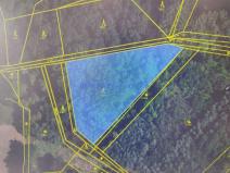 Prodej lesa, Rasošky, 5127 m2