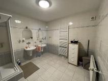 Prodej rodinného domu, Lužec nad Vltavou, Mělnická, 280 m2