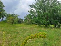 Prodej pozemku, Češov, 1189 m2