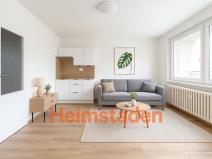 Pronájem bytu 1+kk, Frýdek-Místek - Frýdek, Nad Stadionem, 24 m2