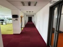 Pronájem kanceláře, Praha - Nusle, Doudlebská, 303 m2