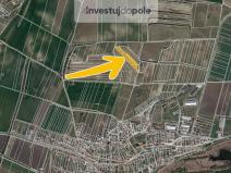 Prodej pole, Sedlec, 6224 m2