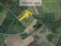 Prodej pole, Týnec nad Labem - Vinařice, 7567 m2