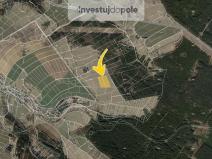 Prodej louky, Pustá Kamenice, 13175 m2