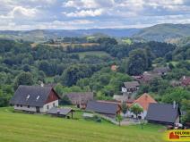 Prodej lesa, Dalečín - Hluboké, 20371 m2