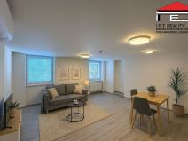 Pronájem bytu 1+kk, Brno, Sukova, 65 m2