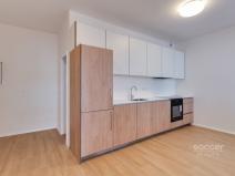 Pronájem bytu 1+1, Praha - Karlín, Křižíkova, 51 m2