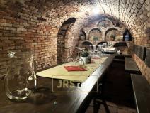 Prodej - jiné, Bořetice, 250 m2