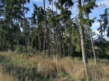 Prodej lesa, Zvěstov - Libouň, Zvěstov, 7836 m2