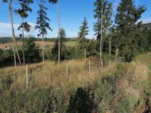 Prodej lesa, Zvěstov - Libouň, Zvěstov, 7836 m2