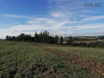 Prodej lesa, Zvěstov - Libouň, Zvěstov, 2824 m2