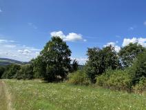 Prodej pozemku, Libina, 6659 m2