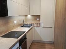 Pronájem bytu 1+kk, České Budějovice - České Budějovice 3, Riegrova, 47 m2