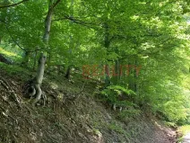Prodej lesa, Třinec, 102140 m2