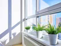 Prodej bytu 2+kk, České Budějovice, Staroměstská, 49 m2