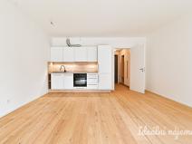 Pronájem bytu 1+kk, Brno, Bratislavská, 37 m2