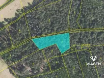 Prodej podílu lesa, Hrdlív, 807 m2