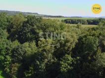 Prodej lesa, Hnojník, 9789 m2