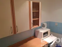 Pronájem bytu 1+kk, Praha - Nusle, U družstva Ideál, 25 m2