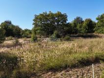 Prodej pozemku pro bydlení, Černovice, 7630 m2