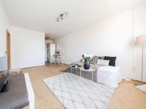 Prodej bytu 2+kk, Mladá Boleslav - Mladá Boleslav II, Jana Palacha, 43 m2