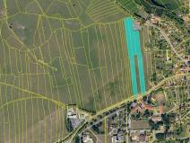 Prodej pozemku pro bydlení, Seč, 39101 m2