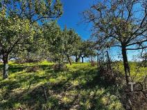 Prodej zahrady, Kyjov, 1046 m2