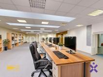 Pronájem obchodního prostoru, Staré Město, Brněnská, 387 m2